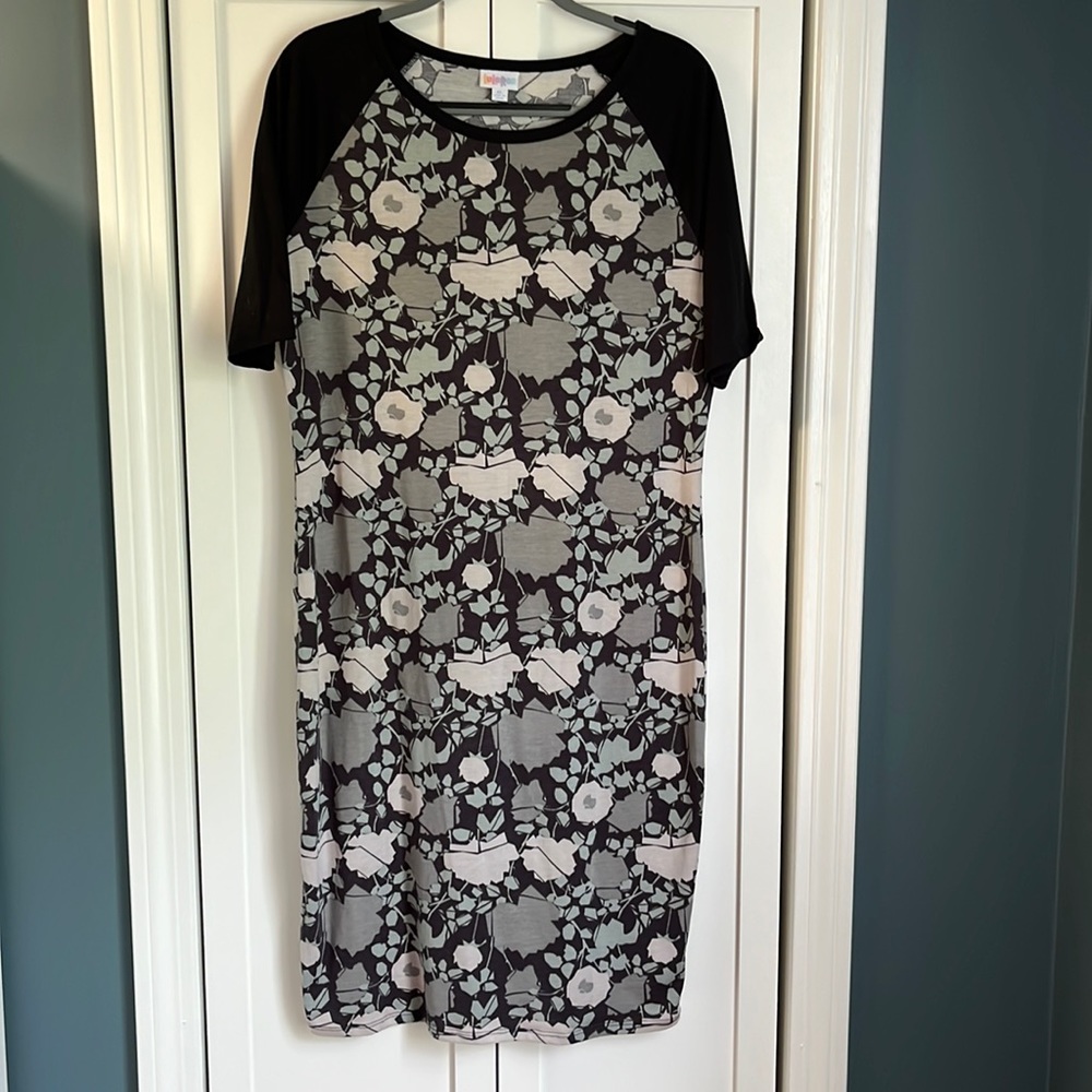 1- LuLa Roe Julia dress. Tried on, never worn, no tags. Grey sleeve, blue/g…
